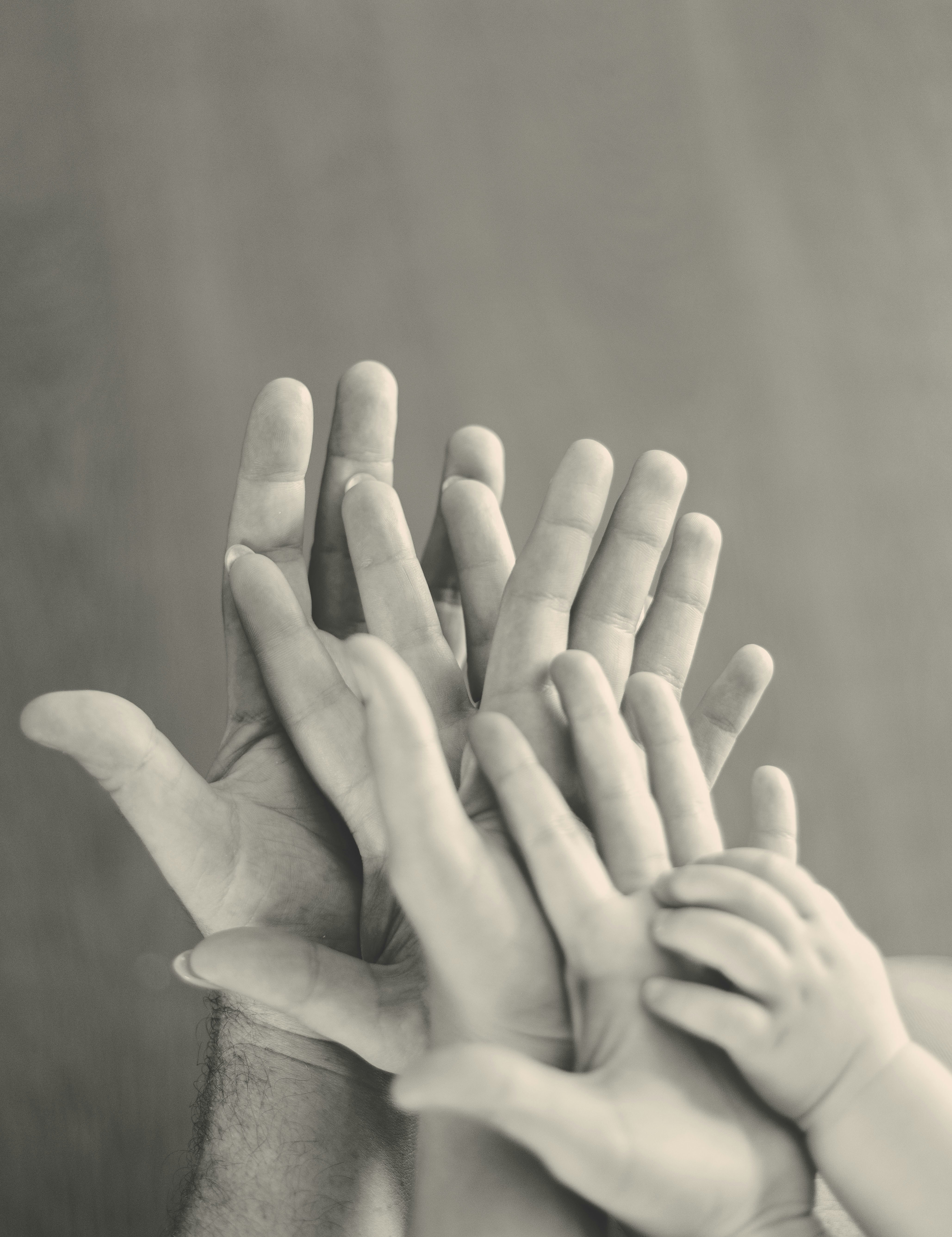 Familie zusammen – ganzheitliches Familiencoaching, familie auf zak
